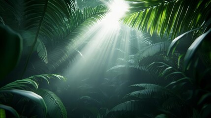 Misty rainforest, dense fog, beams of sunlight, 3D illustration