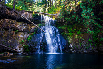 Obraz premium Upper North Falls at Silver Falls State Park Oregon