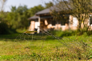 Dom w budowie na wsi otoczony zielenią w słoneczny dzień © Piotr