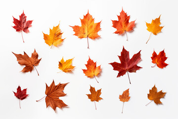 Autumn leaves Flying in the air for design Background 