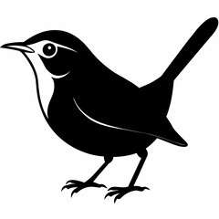 illustration of a bird
