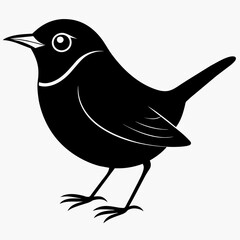 bird on a branch