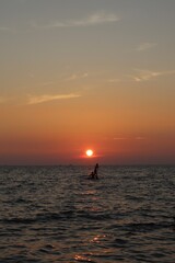 Fototapeta premium Paddleboarders in the sunset 