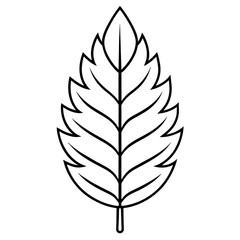 Fototapeta premium black and white leaf