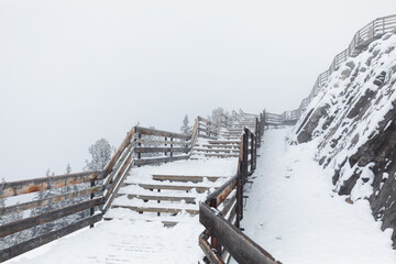 view of a set of stairs on a hiking trail in the forest with small pine tree covered with a fresh layer of snow in winter on a cloudy day with fog