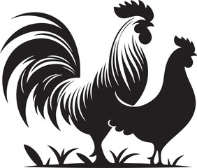 rooster isolated on white