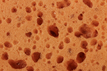 Foam sponge