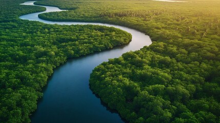 Gambia Mangroves Aerial view of mangrove forest in Gambia Photo made by drone from above Africa Natural Landscape : Generative AI