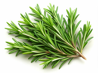 Fototapeta premium A bunch of fresh green herbs, including rosemary, are displayed on a white background. The herbs are arranged in a way that they look like they are growing out of the ground