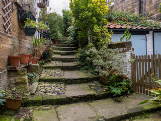 Concrete steps in urban garden