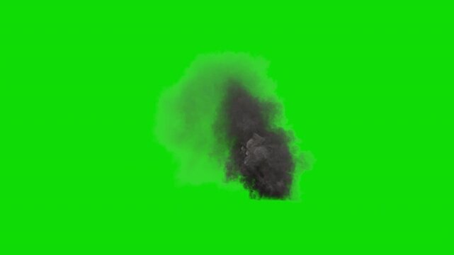 Smoke plume very far off in the distance, as if from a building fire or bombed out building, 4k30p, green screen for transparent background