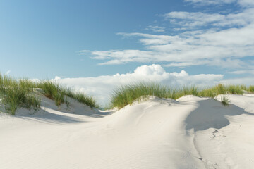 Dünenlandschaft an der Nordsee