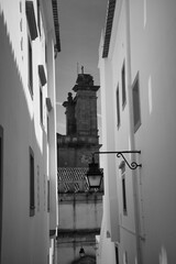 Portugal, oficialmente la República Portuguesa, es un Estado de Europa Meridional, fundado en 1143, que ocupa una superficie total de 92.212 km2. La parte continental está situada en el extremo suroes