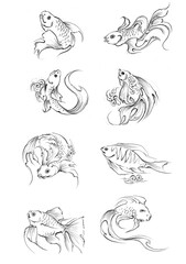 fish in continuous line art drawing style. Minimalist black linear sketch on white background. Vector illustration