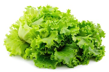 A pile of crisp lettuce sits on a clean white surface, perfect for use in photography or illustration