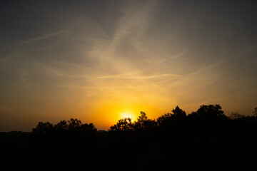 yellowish-pink morning sky with dark trees