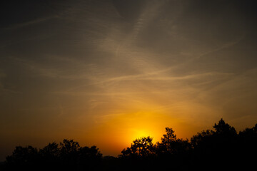 Obraz premium yellowish-pink morning sky with dark trees