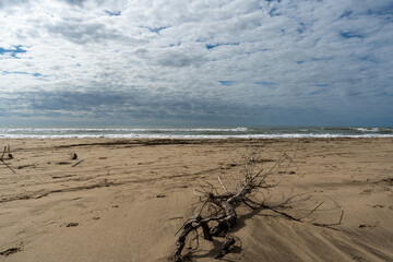 27.09.2024: Der Strand Plage du Piémanson Regionaler Naturpark Camargue, Provence-Alpes-Côte d’Azur, Frankreich
