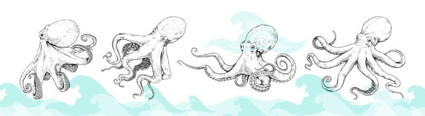 Vintage octopus. Sea kraken. Cephalopod animal sketch. Aquatic squid or tentacle anatomy. Engraving underwater cuttlefish. Hand drawn line ink graphic. Ocean wave. Vector undersea set