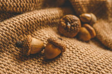 Close-up of acorns on a cozy knitted fabric background