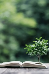 A small green plant grows from an open book on a wooden surface in a serene outdoor setting