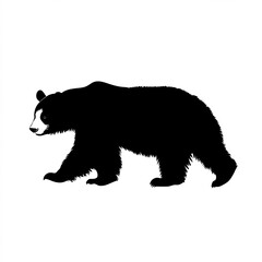 Panda Bear Silhouette, Illustration Isolated On White Background