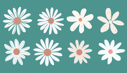 Collection of daisy icon, vector botanical flowers , White daisies illustration, botany style design. Perfect for branding, this illustration.