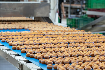 Conveyor line in the production of fresh baked goods. Hundreds of muffins are ready to be packed...