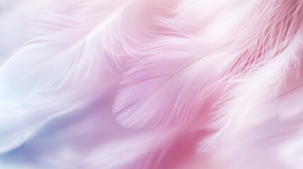 Fototapeta premium Soft and Delicate: A Close-Up of White Feathers