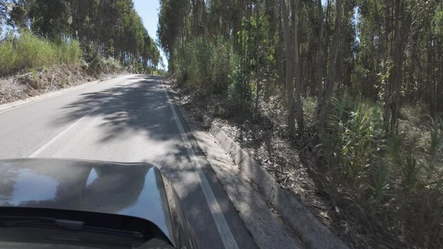 campo viagem carro conduzir