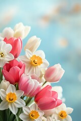 Obraz premium Fresh spring bouquet featuring colorful tulips and daffodils against a soft blue background