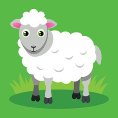 Cute sheep vector illustration cartoon character