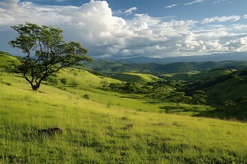 Fototapeta premium Green grassy valley landscape with a tree and clouds in the sky