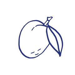 Plum. Fruit sketch. Hand drawn sketch. Blue pen or marker drawing. Primitive kids picture. Apricot icon. Vector illustration