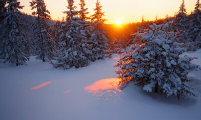 Winter Holiday Postcards, Serene Snow-Covered Forest at Sunset with Sunlight Casting Warm Glows, Nature, Winter, Sunrise, Snow, Scenic Landscape