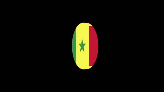3D icon flag animation