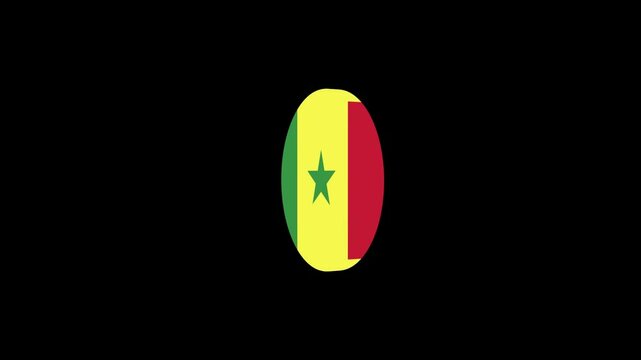 3D icon flag animation