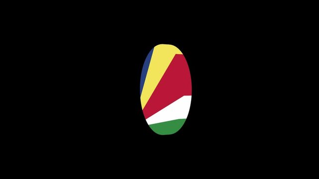 3D icon flag animation