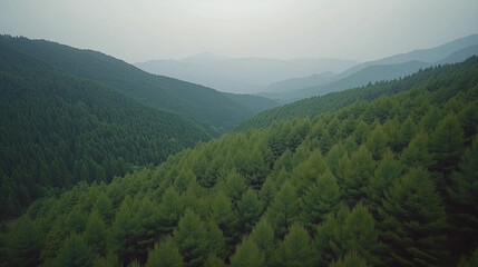 Fototapeta premium morning in the mountains