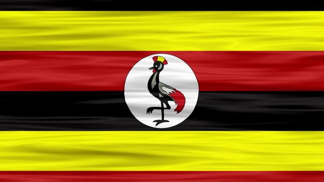 waving flag animation