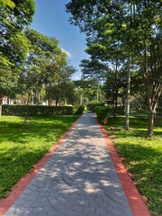 path in the park