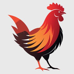 cock vector image illutration and art work