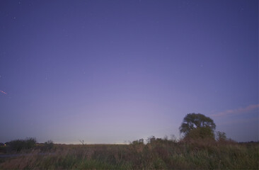 Night sky full of stars