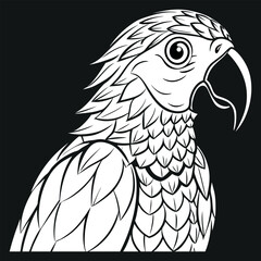 Parrot pencil art vector image illustration and artwork