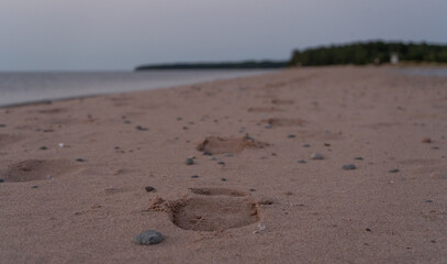 footprints on pink sand in the evening light.