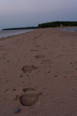 footprints on pink sand in the evening light.
