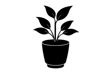 Top view plant silhouette vector illustration for design projects.