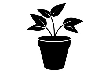 Top view plant silhouette vector illustration for design projects.