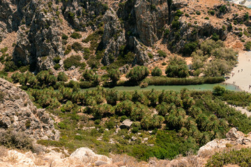 Preveli Beach, Crete, Greece- July 18, 2024: Palm trees row leading to The Cretan Sea, Preveli Beach in summer season