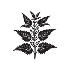 Nettle Plant Outline silhouette on white background